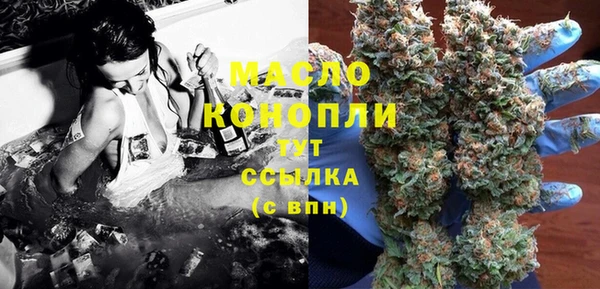 тгк Бородино