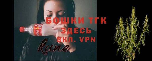соль ск Бронницы