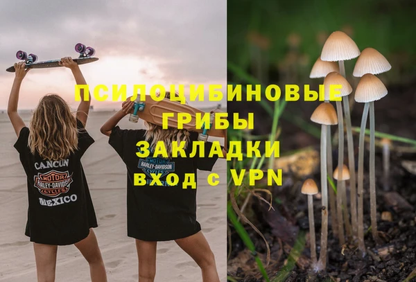 тгк Бородино