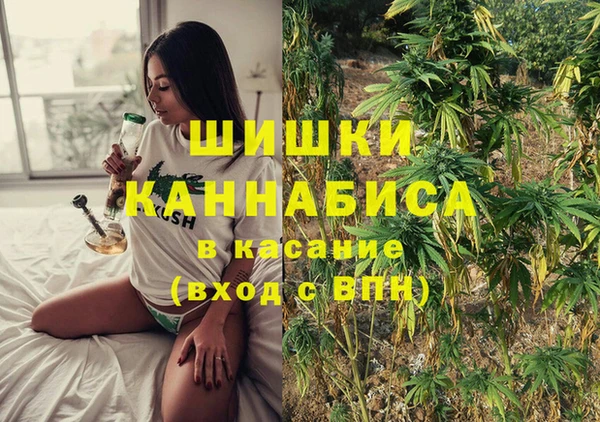 соль ск Бронницы