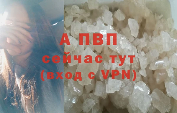 тгк Бородино