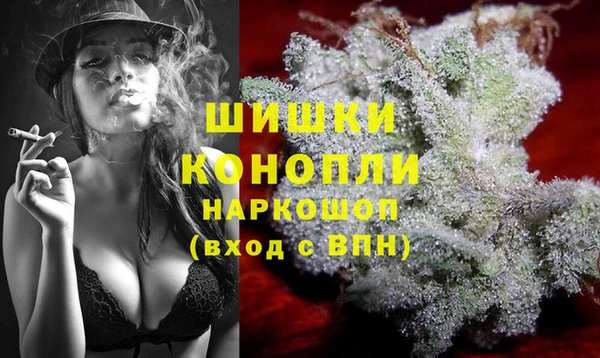 тгк Бородино